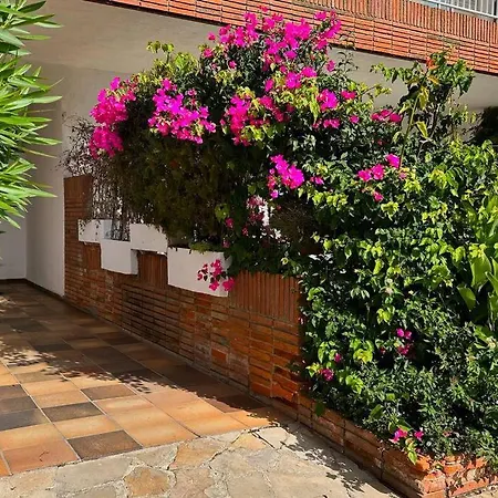 Acogedor , Blanes